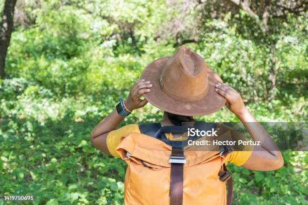 Woman Hiker Attractive Young Woman With Backpack Hiking In Green Forests In Autumn Day Stock Photo - Download Image Now