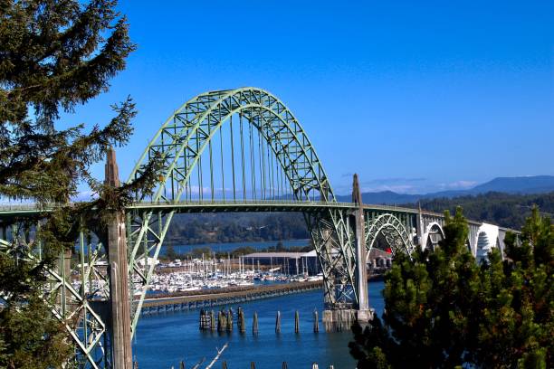 istock Yaquina Bay Bridge 1419759540