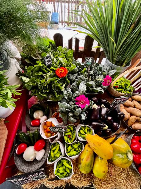 istock Table of vegetables and fruits 1419763194