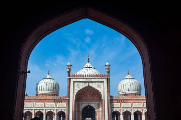 jama masjid - india delhi old delhi mosque photos et images de collection