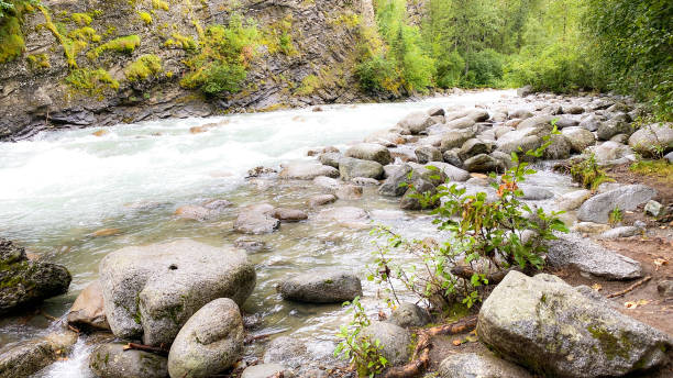 istock Hatcher Pass, Alaska Little Susitina River 1419764702