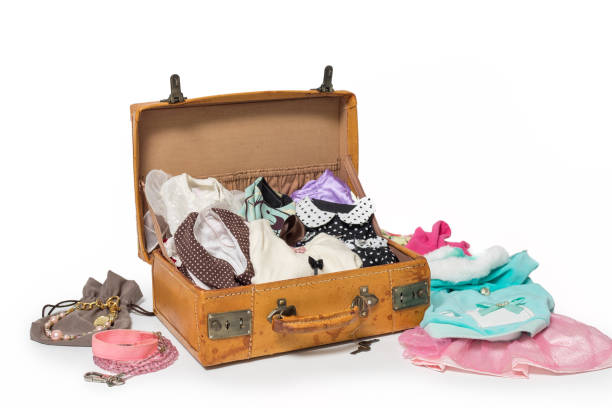istock Small dog packing for a vacation trip 1419765671