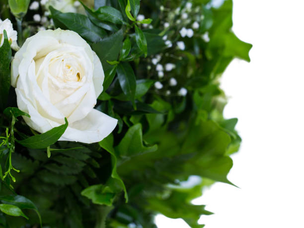 White roses on empty space