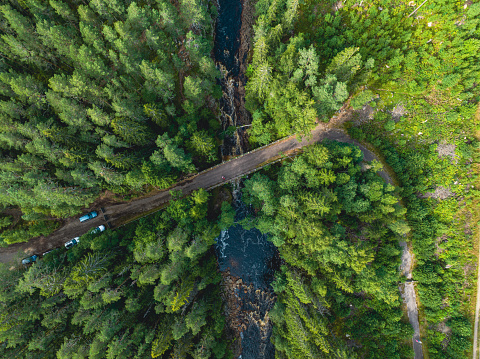 A bridge runs over a river surrounded by deep green forest. Seen from above.
