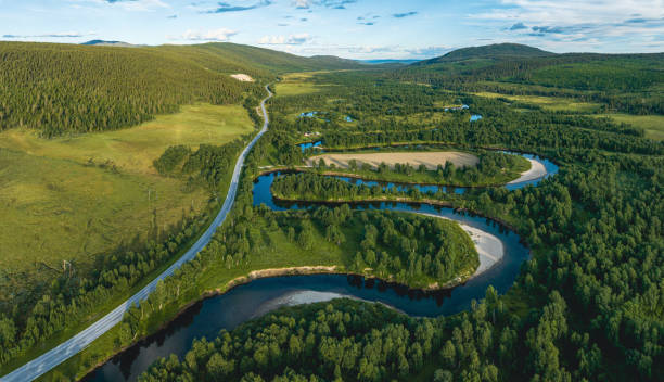 istock Beautiful forest and river summer landscape 1419769313