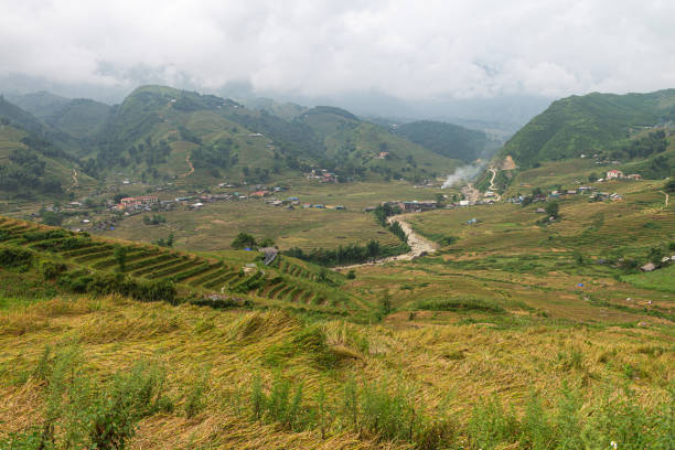 istock Natural Mountain rice filed, Vietnam 1419778804