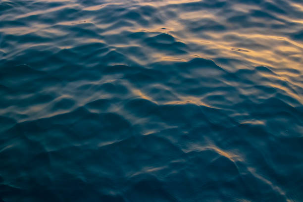 강 파도의 배경 화면. 배경 자연 배경 화면 개념. 사진 잔물결 호수. 공간을 복사합니다.
(노이즈, 필름 그레인 포함) - underwater textured effect water textured 뉴스 사진 이미지