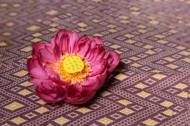 istock Pink water lily blooming on Thai style fabric pattern  background 1419780244