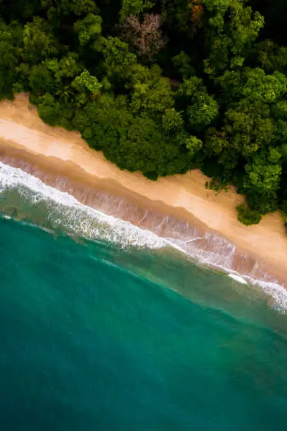 Photo of Parque Nacional Manuel Antonio - National Park, Costa Rica