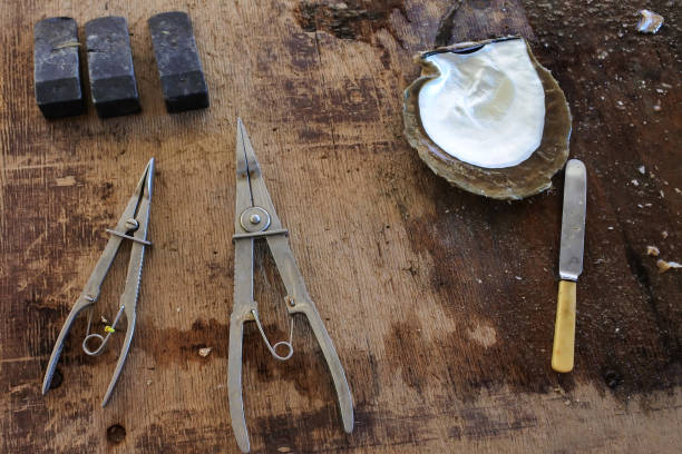 istock Australian Pinctada Maxima shell with Australian South Sea Pearls on a wooden table and tools 1419784175
