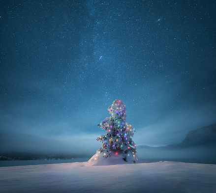 Holiday background with illuminated Christmas tree under starry night sky.