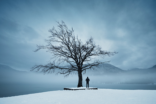 Man standing under the bare tree by the frozen lake (Bohinj, Slovenia).