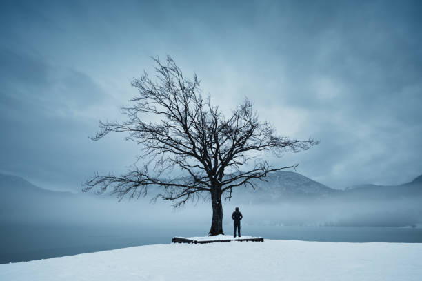 standing under the tree - lake bohinj imagens e fotografias de stock