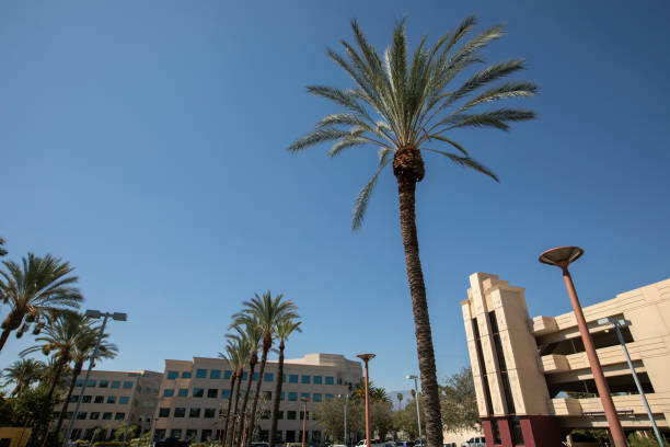 istock West Covina, California 1419785330