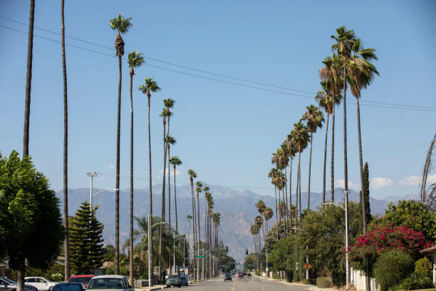 istock West Covina, California 1419785889