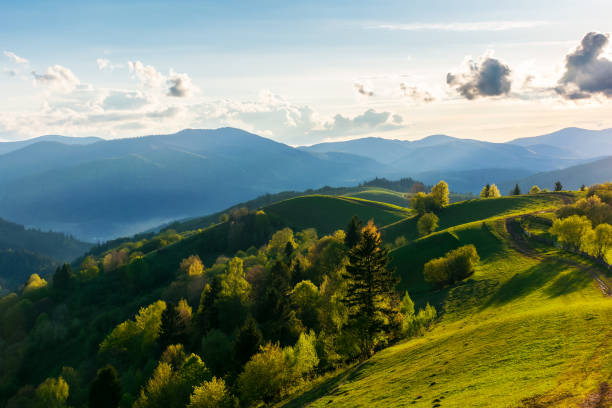 istock carpathian rural landscape in spring at sunset 1419786680