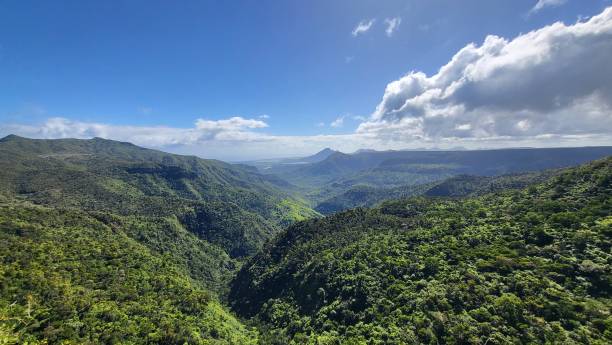 istock Gorge view at Black River Gorges National Park 1419786859