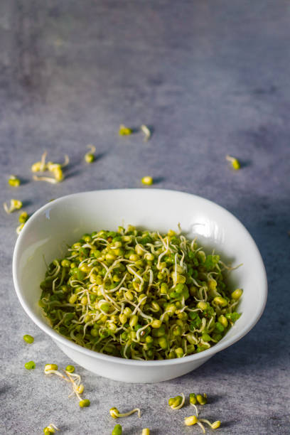 Selective focus of Indian Mung Bean Sprouts.