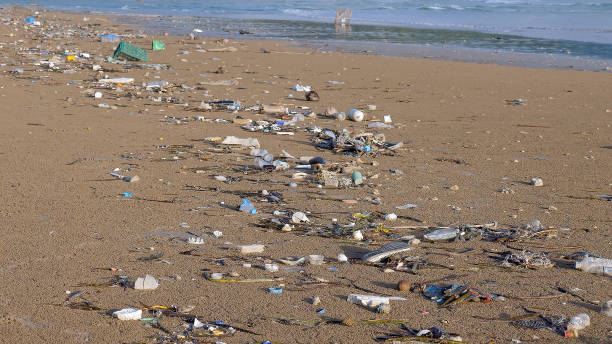 istock Plastic pollution and another kind of trash on the ocean beach. Plastic rubbish pollution in sea coast. Plastic bottles, bags at coastline no proper recycle. Ecological and earth day concept 1419791132