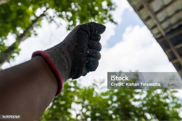 Gloved Construction Worker Fisting Sky To Express The Happiness Of The Victory Stock Photo - Download Image Now