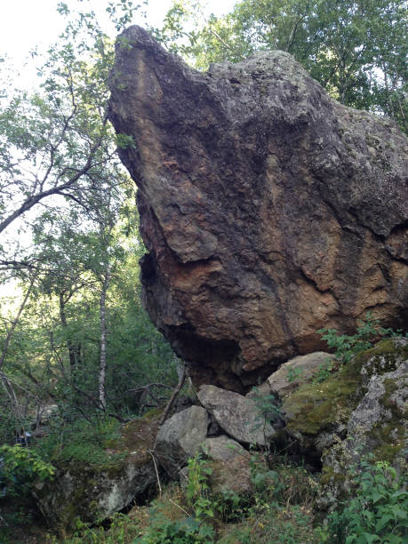 istock A rock resembling a St. Bernard dog 1419795266