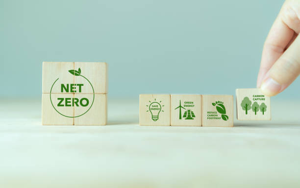 istock Net zero action concept. Save energy, green energy, reduce carbon footprint, carbon capture. Climate neutral long term strategy. Limit  global warming. Putting wooden cubes with green net zero icon 1419795437