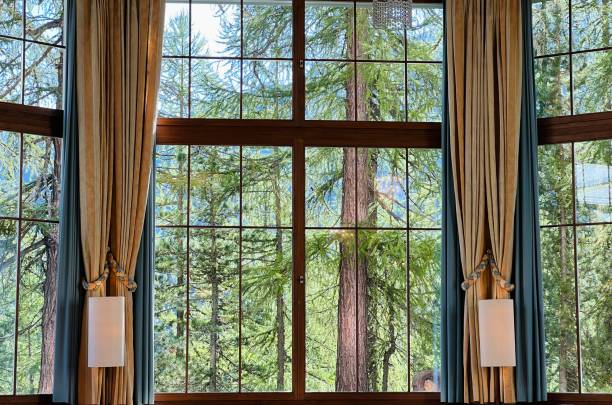 istock Window, lamps, curtains and the forest outside 1419795645