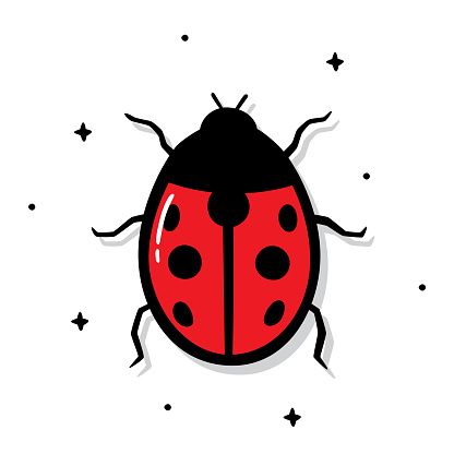 Vector illustration of a hand drawn ladybug against a white background.