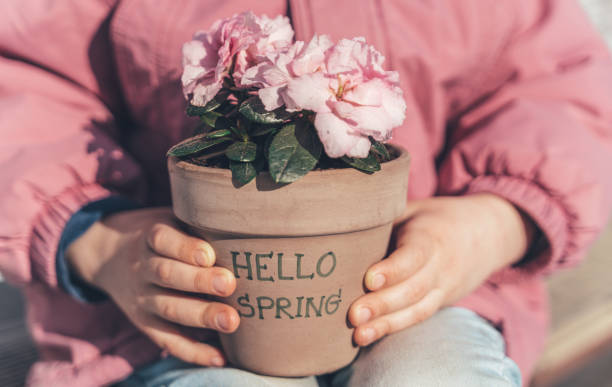 Little girl holding in hands home flower,plant pink azalea in ceramic pot.Sitting on bench in park.Happy spring is coming.Goodbye winter,hello sun,nature.Sunny warm day.Funny concept.Walking outdoors. niña pequeña sosteniendo en las manos la flor de la casa, planta azalea rosa en maceta de cerámica. sentado en el banco en el parque. se acerca la feliz primavera. adiós invierno, hola sol, naturaleza. día soleado y cálido. concepto divertido. camina