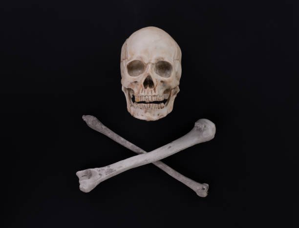 istock pirate skull and bones isolated on black background 1419801235