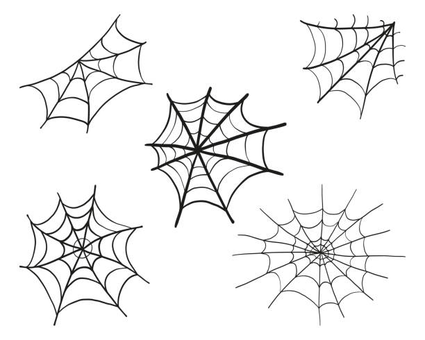 Spider web or cobweb black cartoon vector set Spider web or cobweb black cartoon set. Tangled spiderweb illustrations for Halloween celebration design. Hanging trap net. Vector graphic isolated on white background spider web stock illustrations