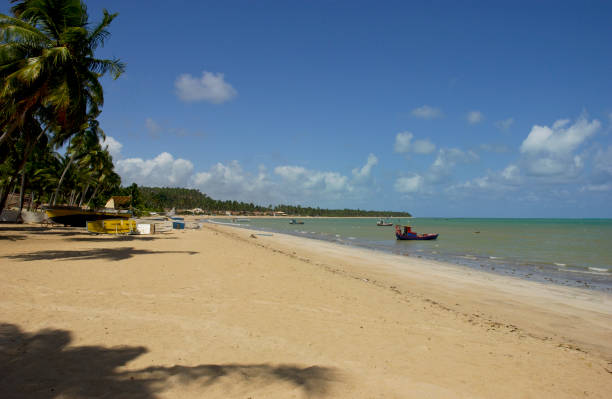 istock Brasilian beaches of Alagoas 1419803651