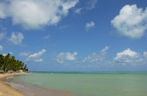 istock Brasilian beaches of Alagoas 1419803703