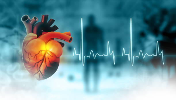 istock Human heart anatomy with ecg graph 1419809023
