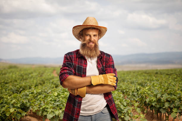 istock Bearded farmer posing with crossed arms on a grapevine nursery field 1419813247