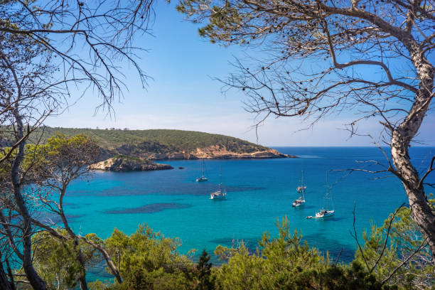 istock Badia de Xarraca, Viewpoint, Ibiza, Spain 1419814548