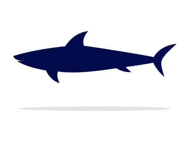 Vector illustration of Shark silhouette. Shark Icon Isolated On White Background