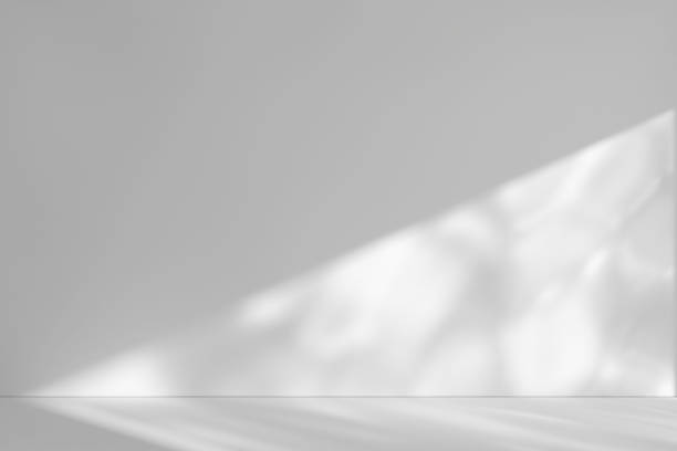 istock Shadow of Window and Sunlight on Empty Room White Wall and Floor. 3d Rendering 1419815544