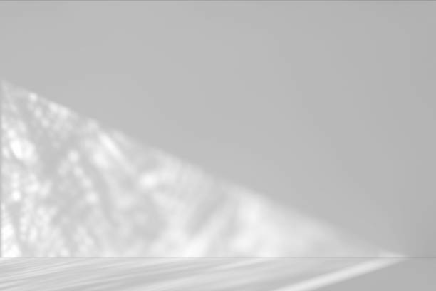 istock Shadow of Window and Sunlight on Empty Room White Wall and Floor. 3d Rendering 1419818020
