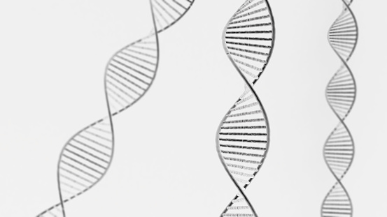 hereditary helix,conceptual backdrop picture of DNA structure,3d rendering