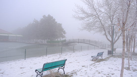 foggy weather, snowy park, silhouettes of people walking.