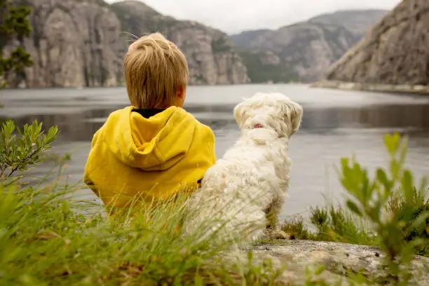 Photo of Family, children, adults and dog, enjoying the beach in Forsand, Lysebotn on a cloudy day