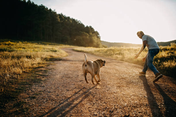 istock A man and a dog at sunset 1419829727