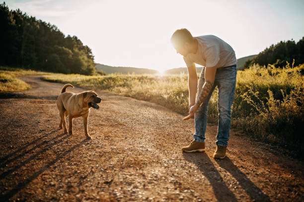 istock A man trains his dog in nature 1419829746