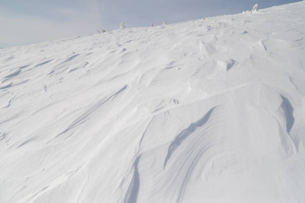 istock Snow field of Zao in winter 1419829762