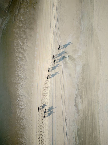 istock Horseback riding on beach from above 1419832771