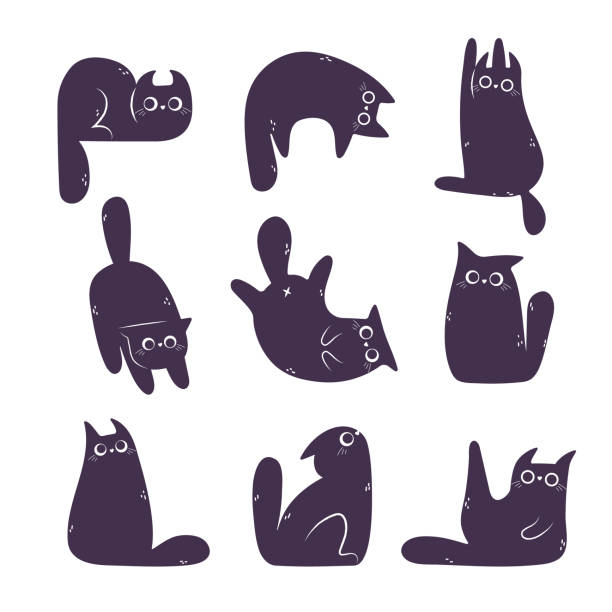 ilustraciones, imágenes clip art, dibujos animados e iconos de stock de conjunto de garabatos de lindos gatos negros establecidos aislados sobre fondo blanco. divertido personaje animal de dibujos animados en diferentes poses. grupo de muchos gatos negros vector silueta ilustración aislada sobre fondo blanco. - feline