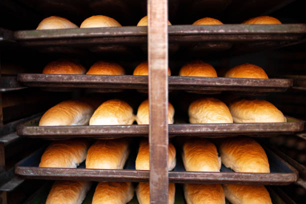 Freshly baked bread loafs on a metal shelf