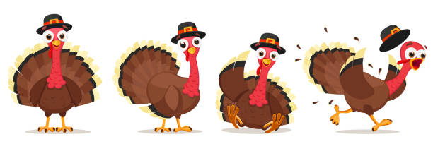 ilustraciones, imágenes clip art, dibujos animados e iconos de stock de conjunto de carácter de pavo en diferentes poses sobre un blanco. día de acción de gracias - turkey