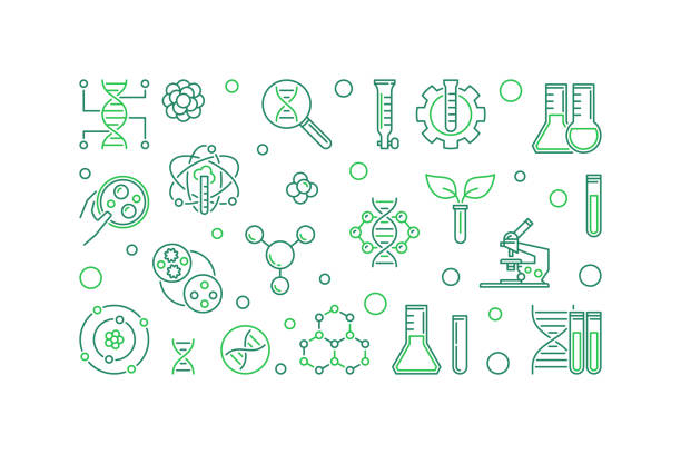 Bio-Engineering vector line banner. Biotechnology illustration Bio-Engineering vector green creative linear banner. Biotechnology concept outline illustration on white background chromosome science genetic research biotechnology stock illustrations